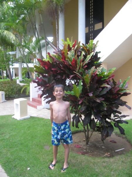 Dominican Republic 551.jpg